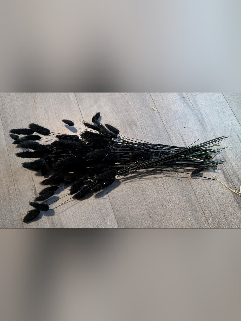 Black Pampas Bunny Ears Floral Bundle